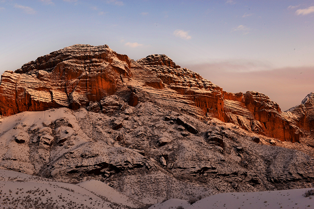 DSC_2024-1.jpg