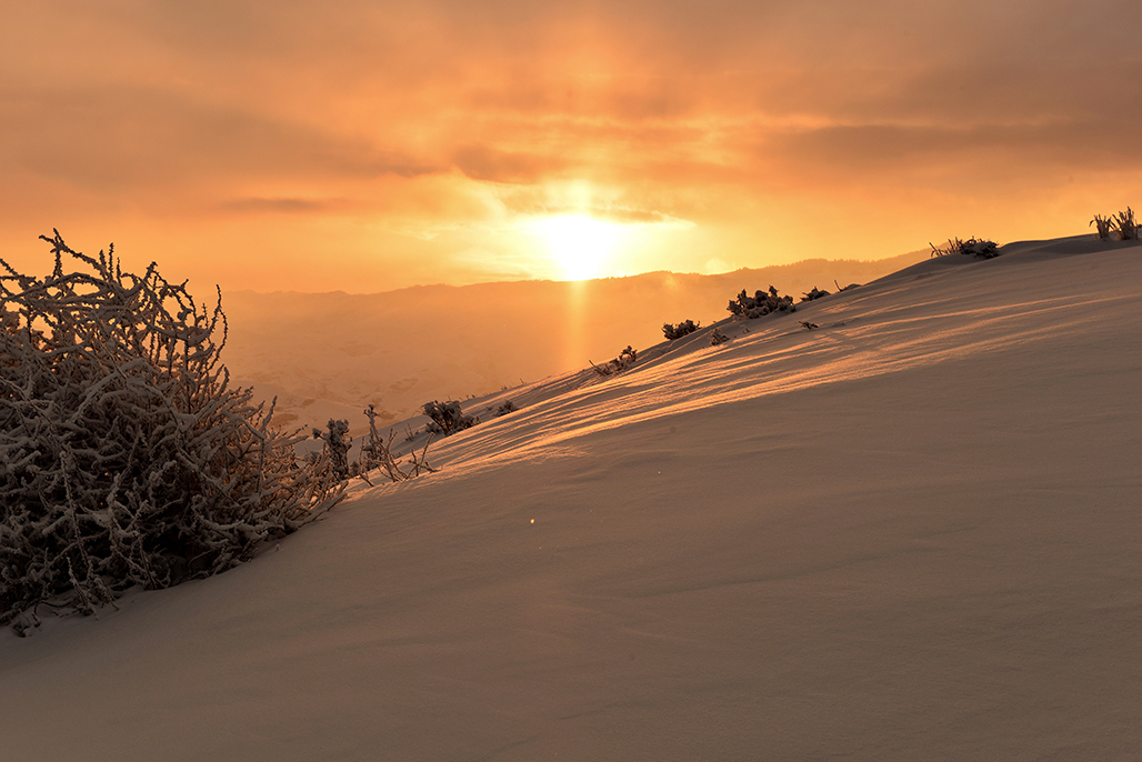 DSC_1985-1.jpg