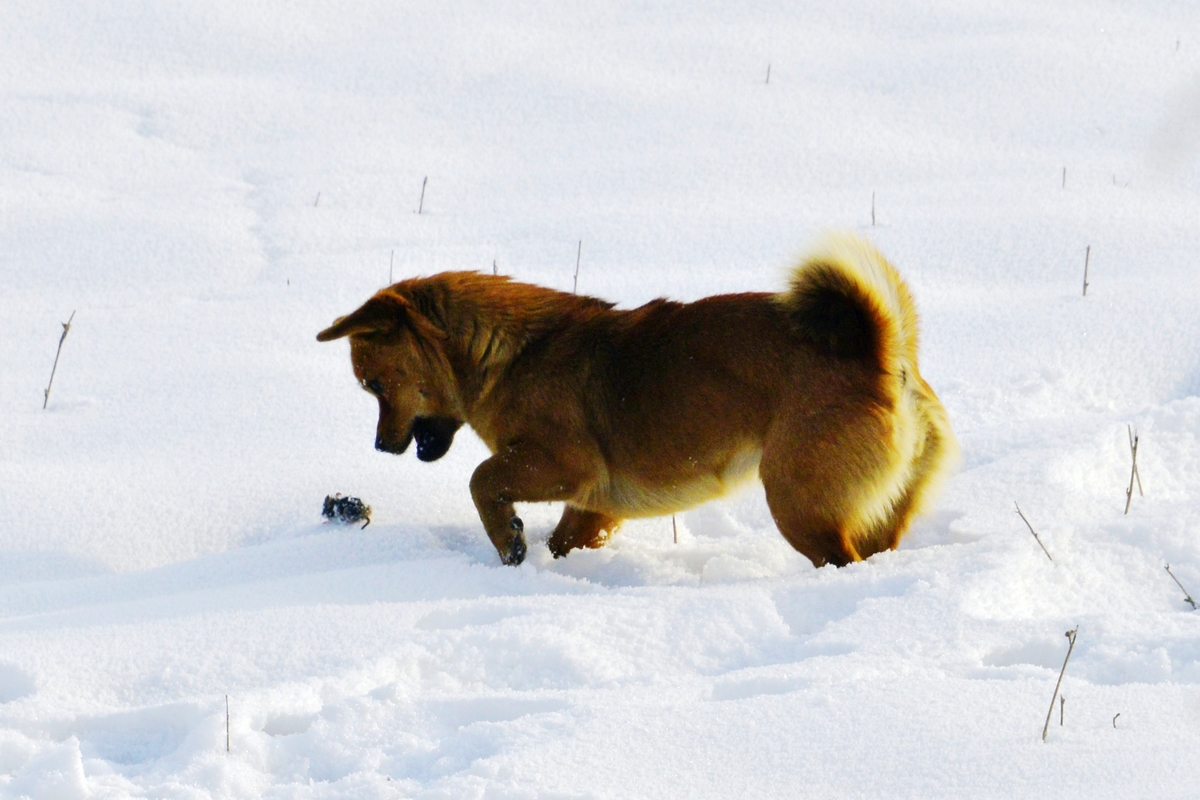 nEO_IMG__DSC0398.jpg