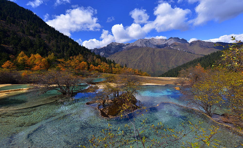 DSC_9248.JPG