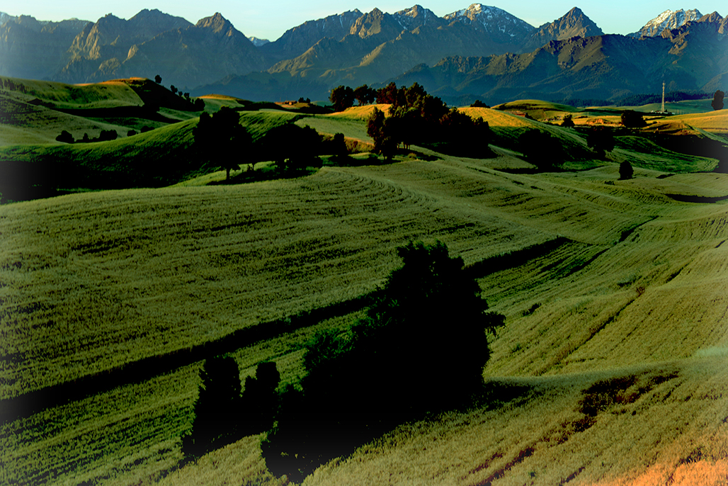 DSC_7150-1.jpg