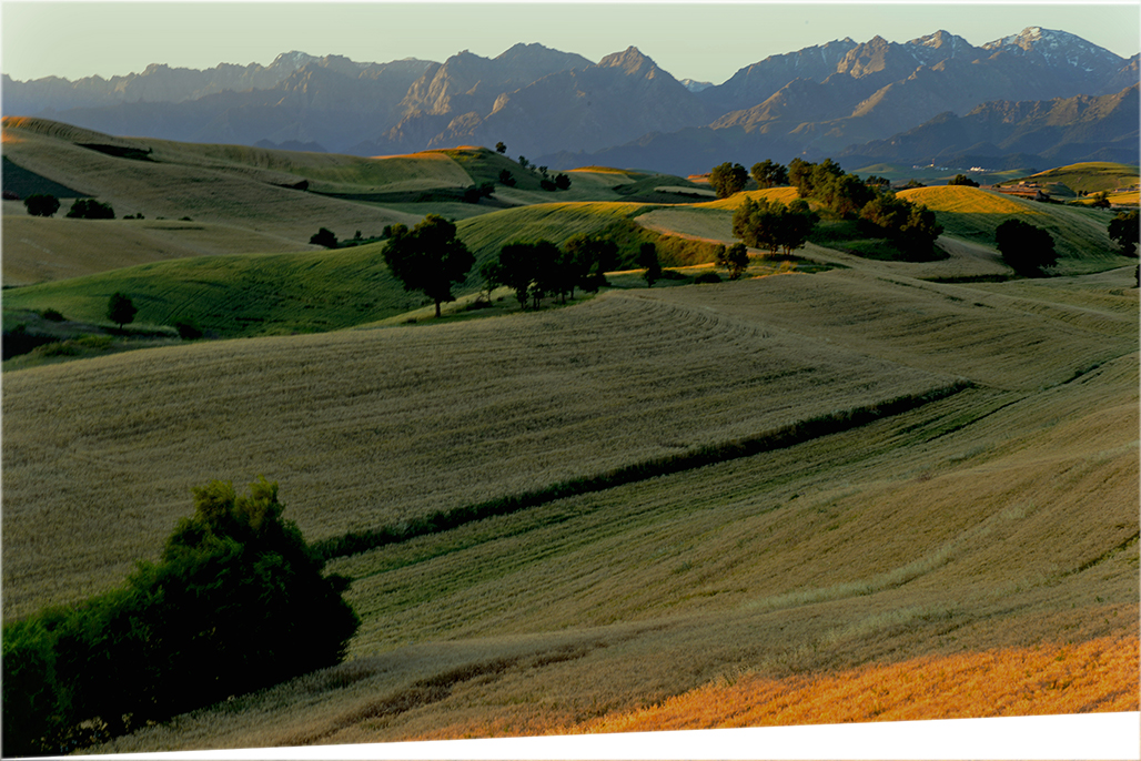 DSC_7152-1.jpg