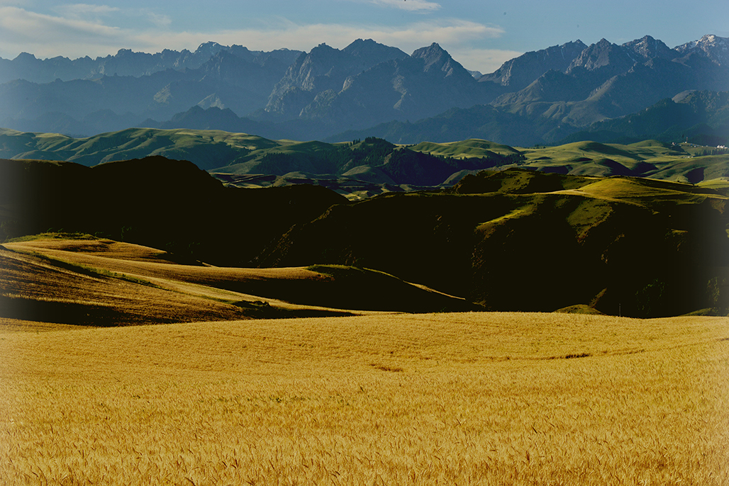 DSC_7211-1.jpg