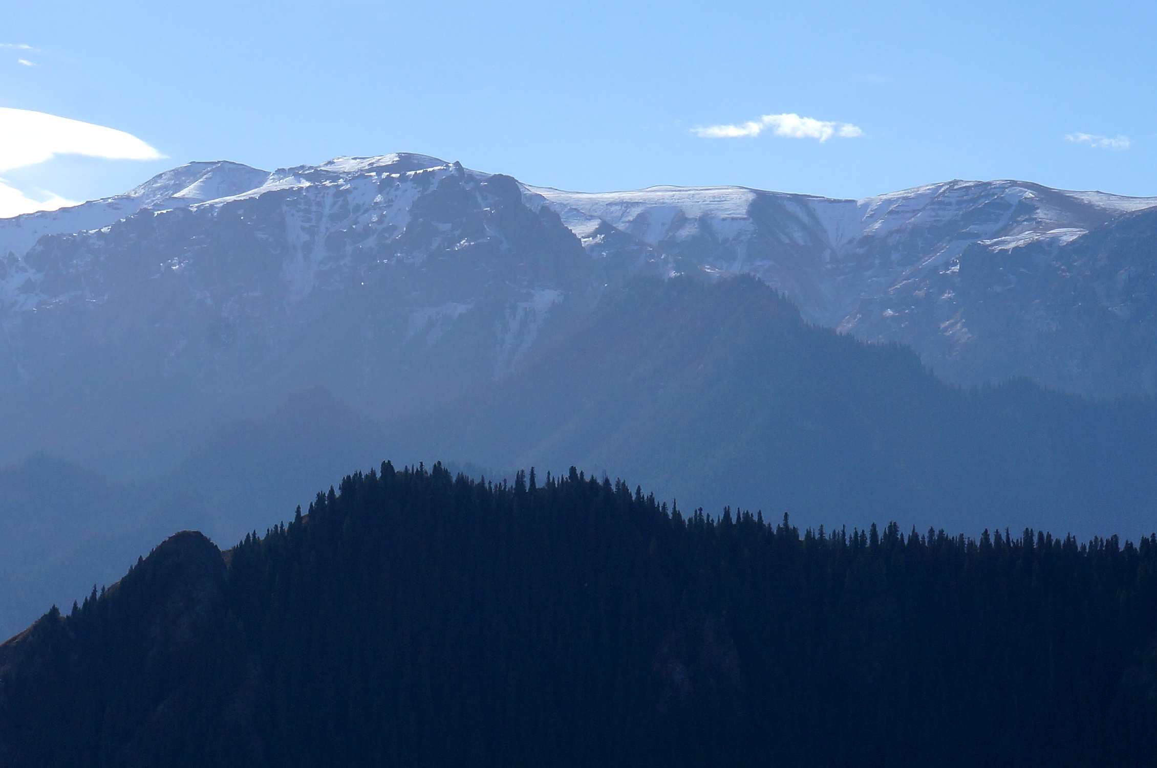 DSC01180_.jpg