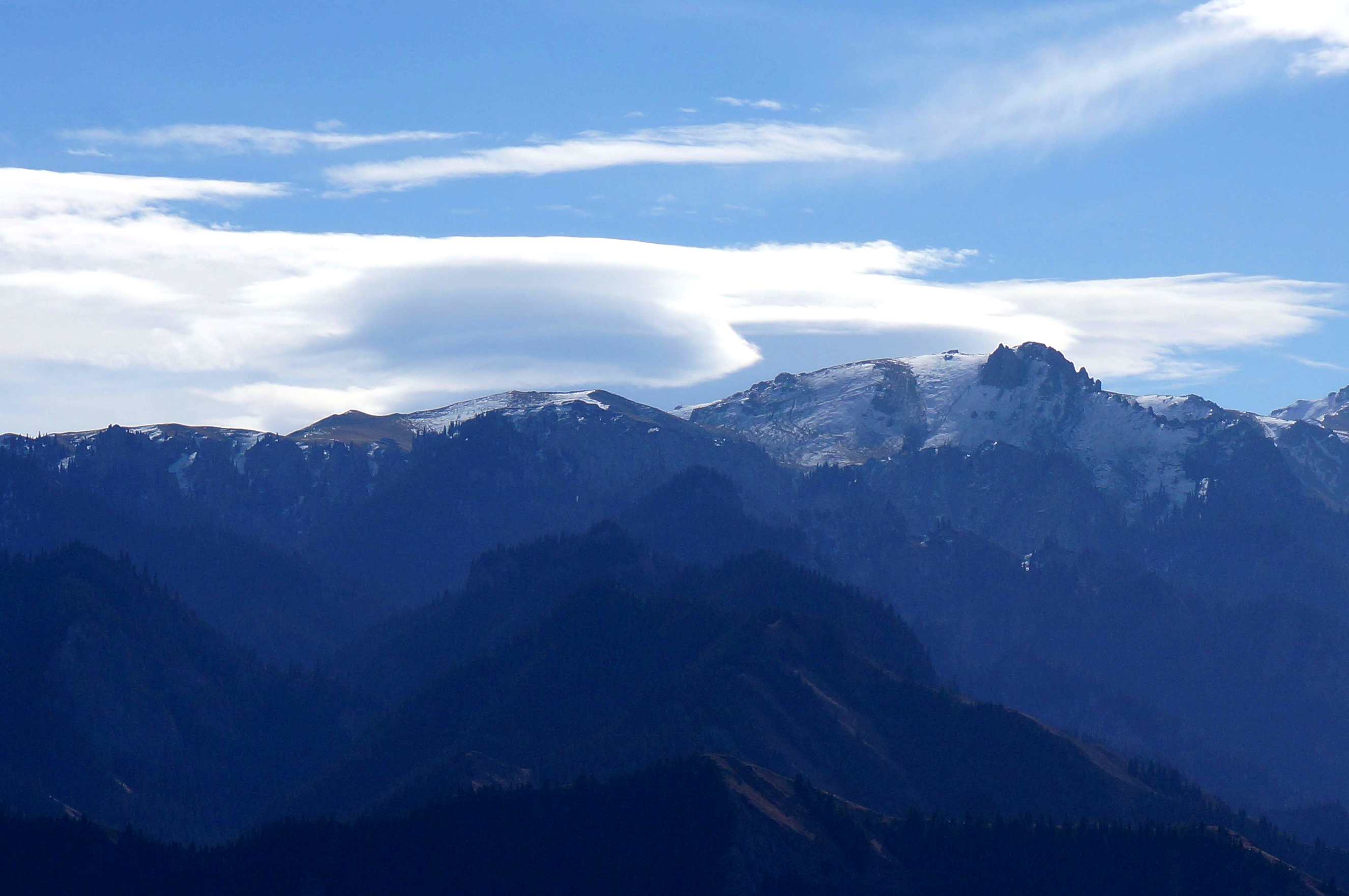 DSC01185 _.jpg