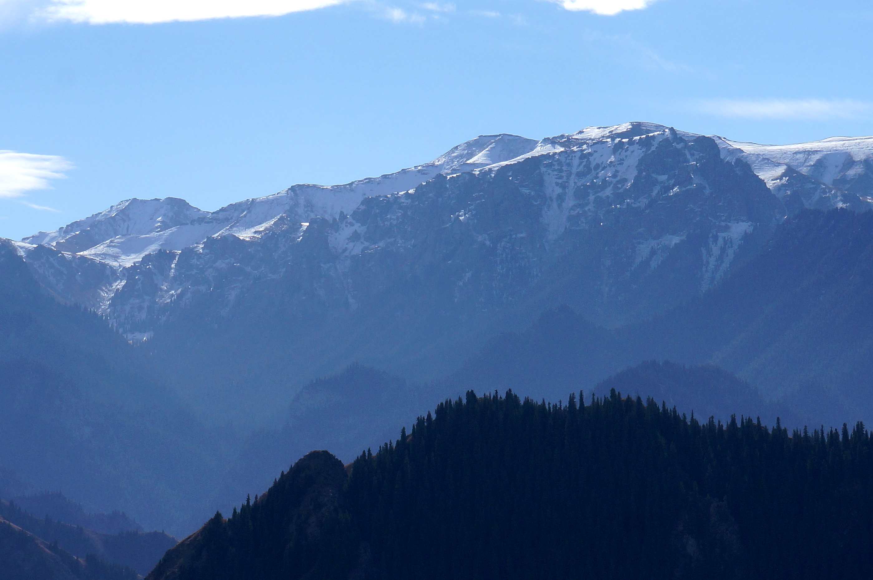DSC01186_.jpg
