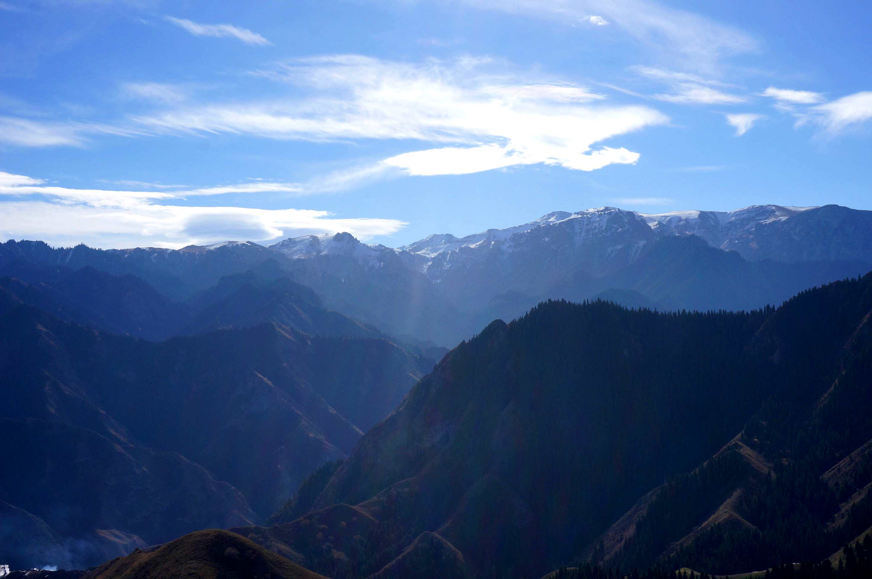 DSC01187 _.jpg