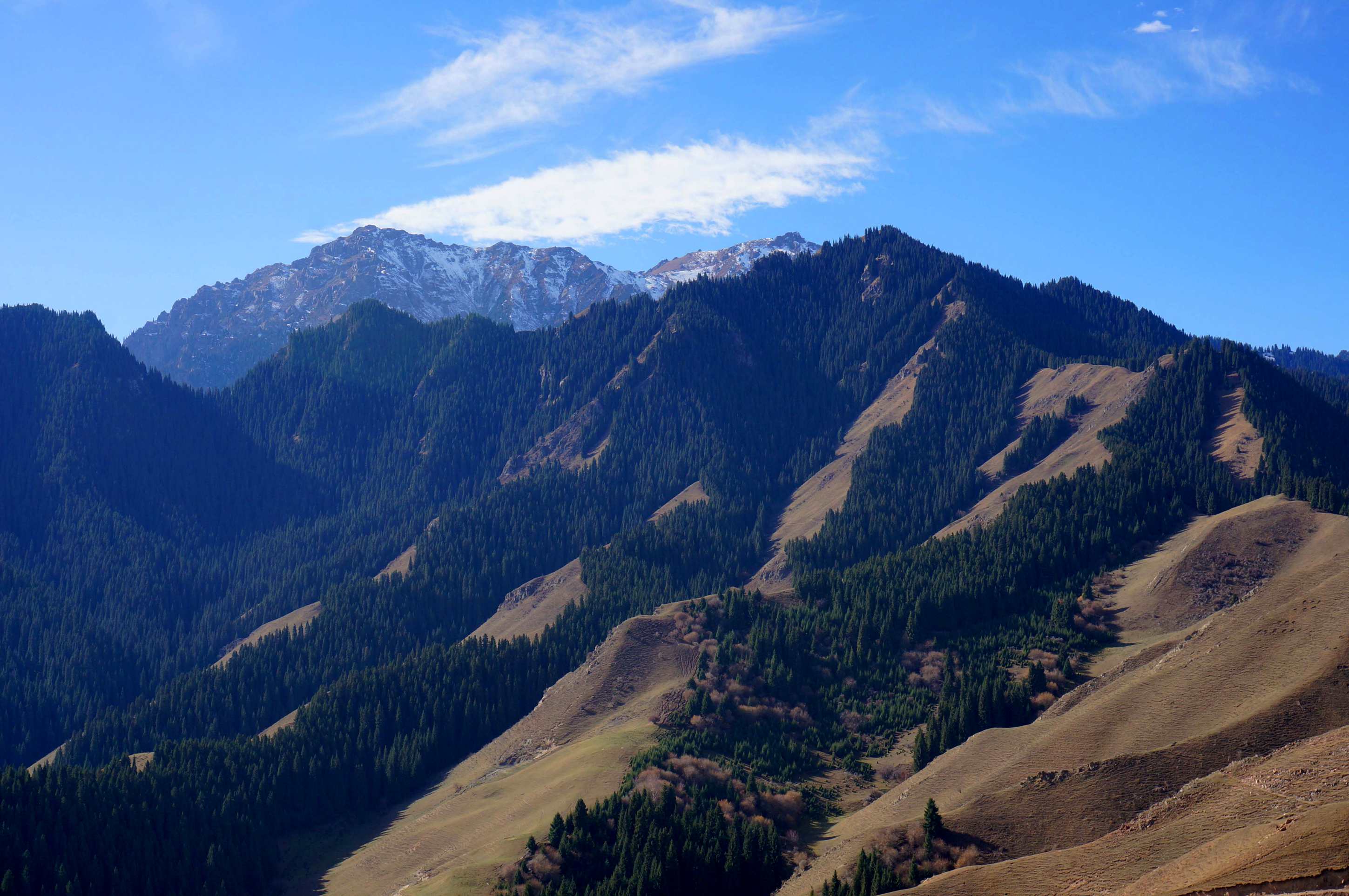 DSC01189 _.jpg