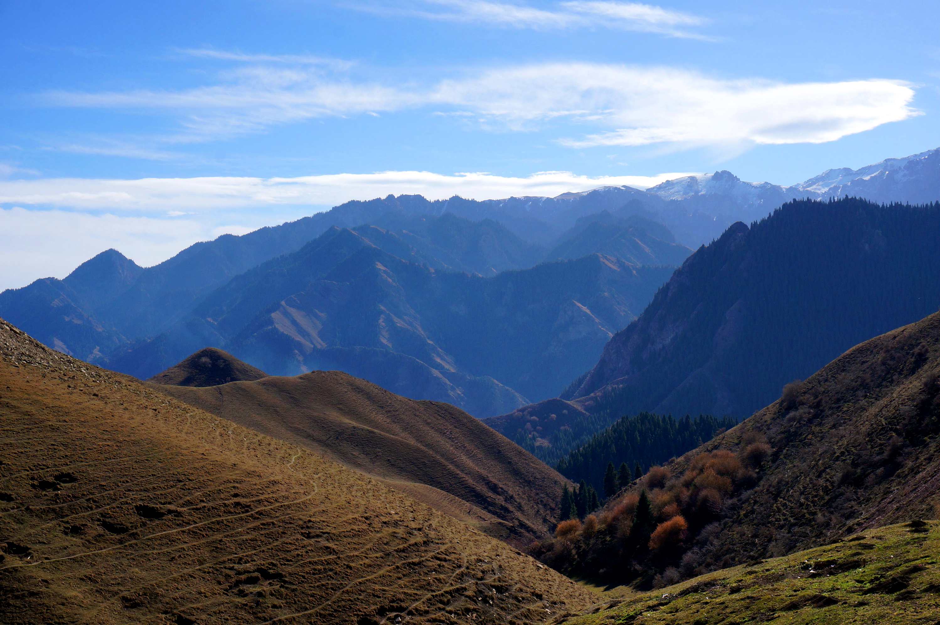 DSC01192 _.jpg