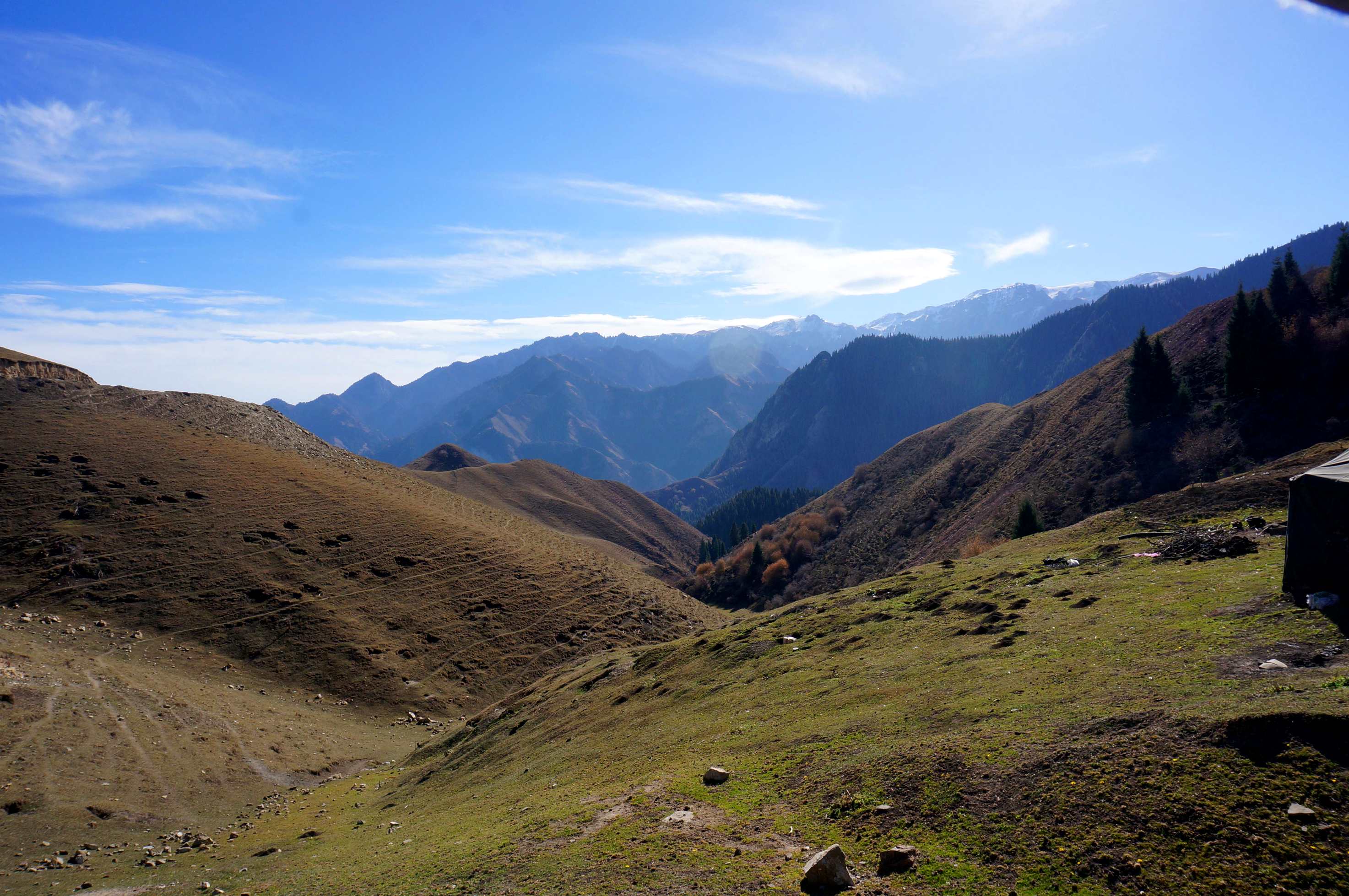DSC01191 _.jpg