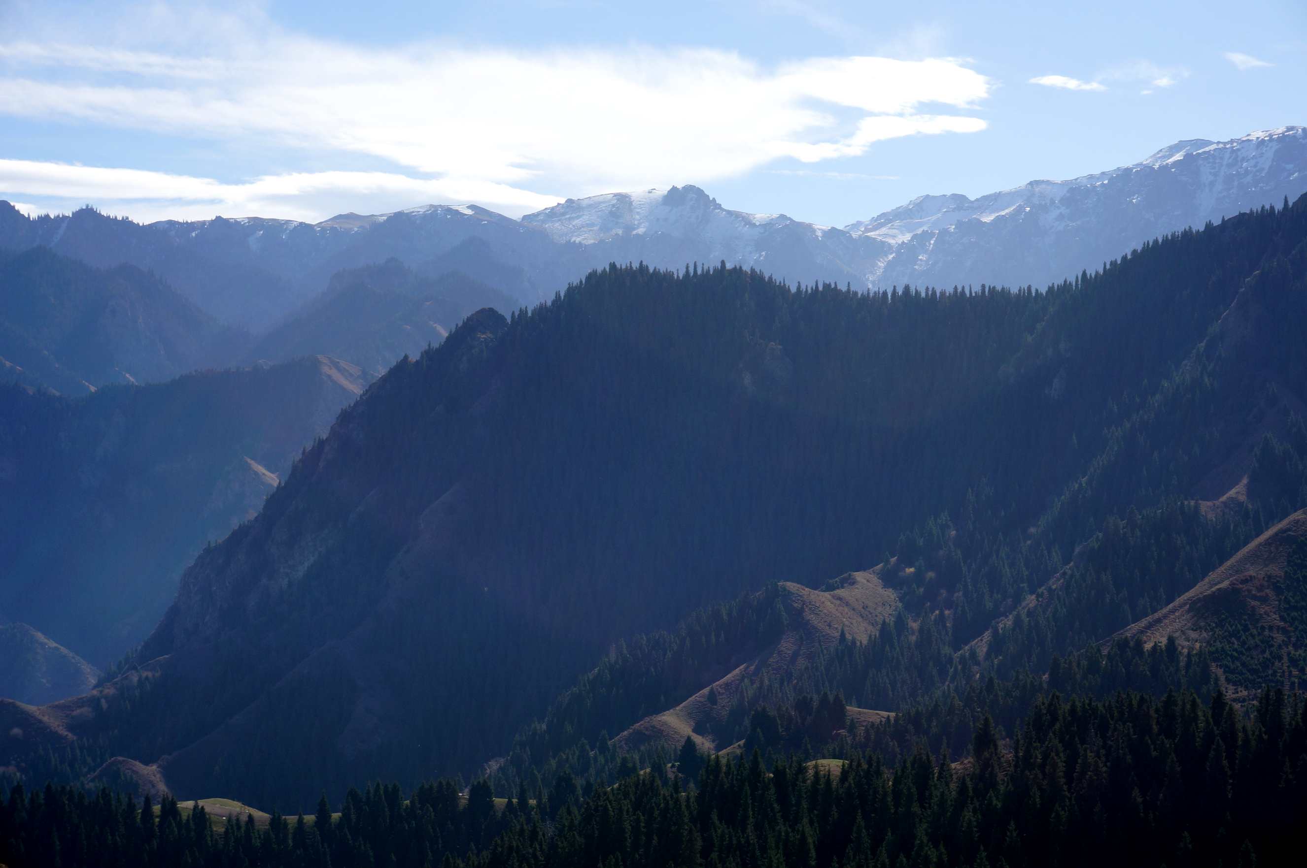 DSC01195_.jpg