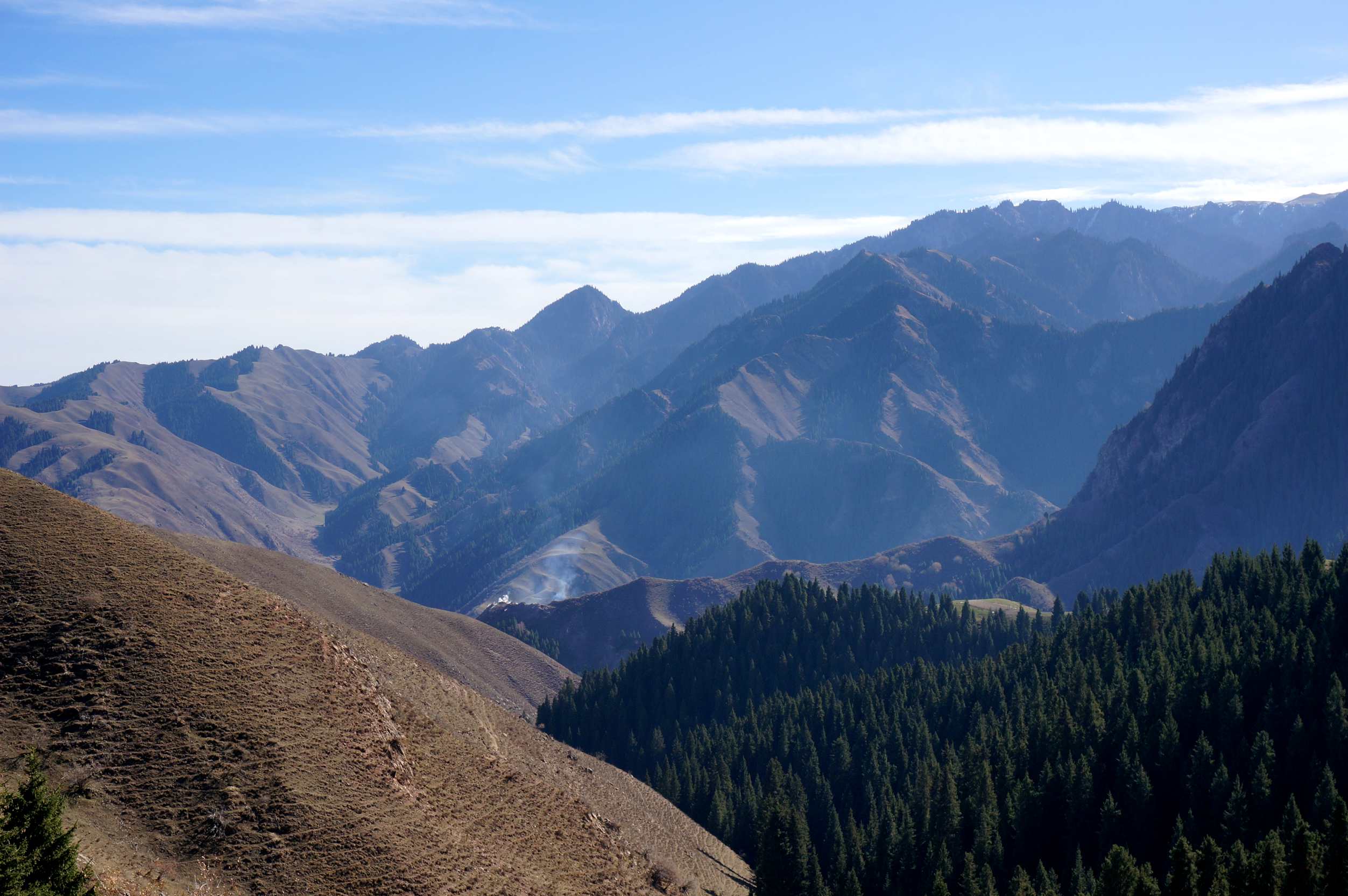 DSC01200_.jpg
