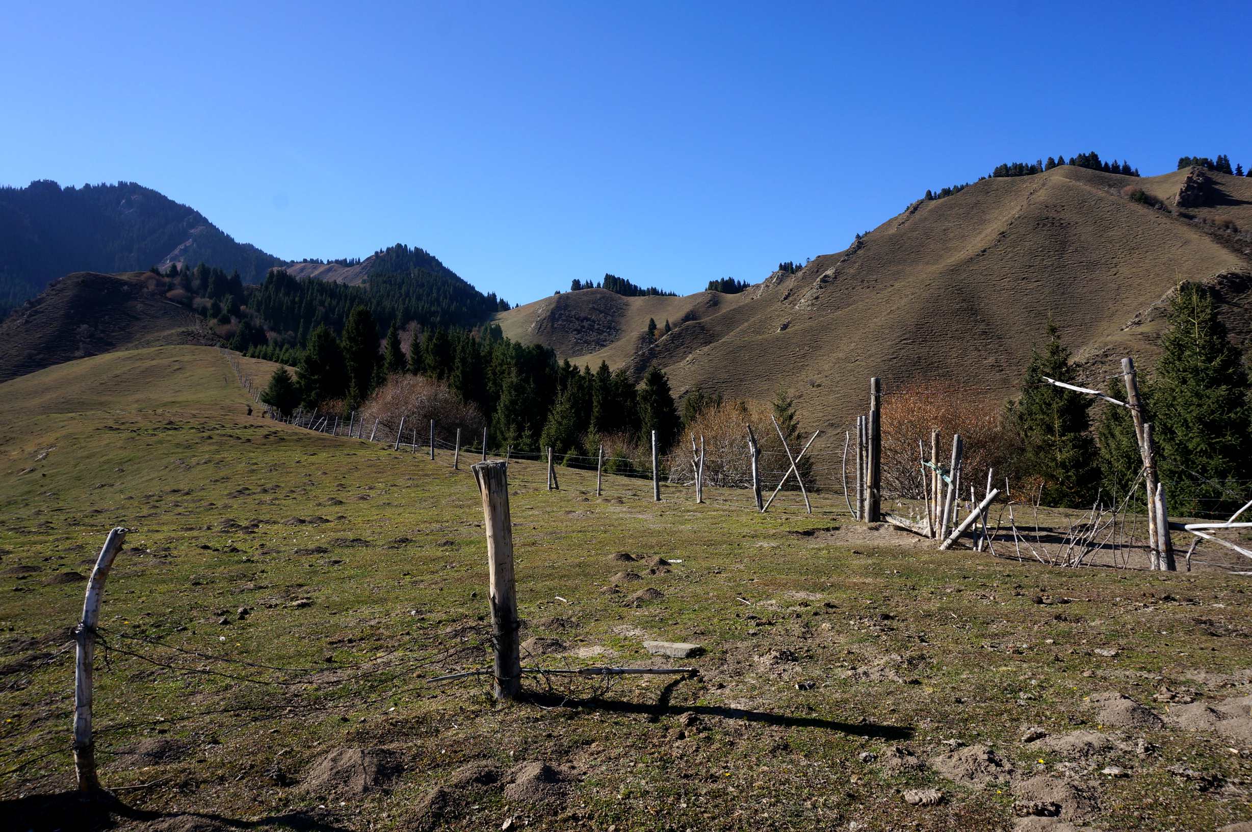 DSC01205_.jpg