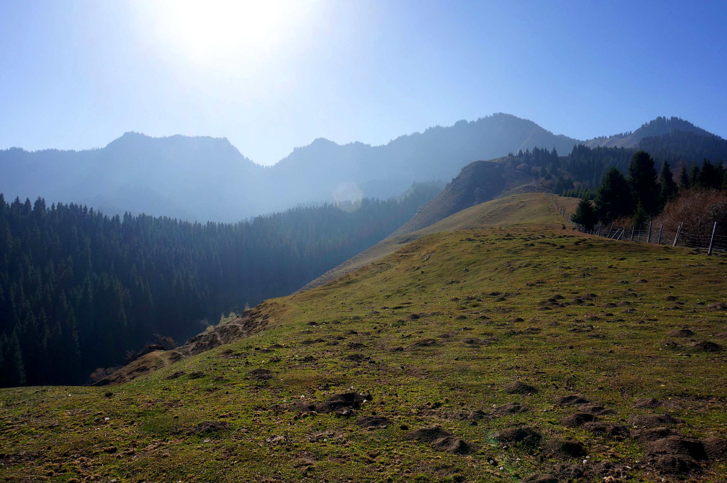 DSC01227 _.jpg