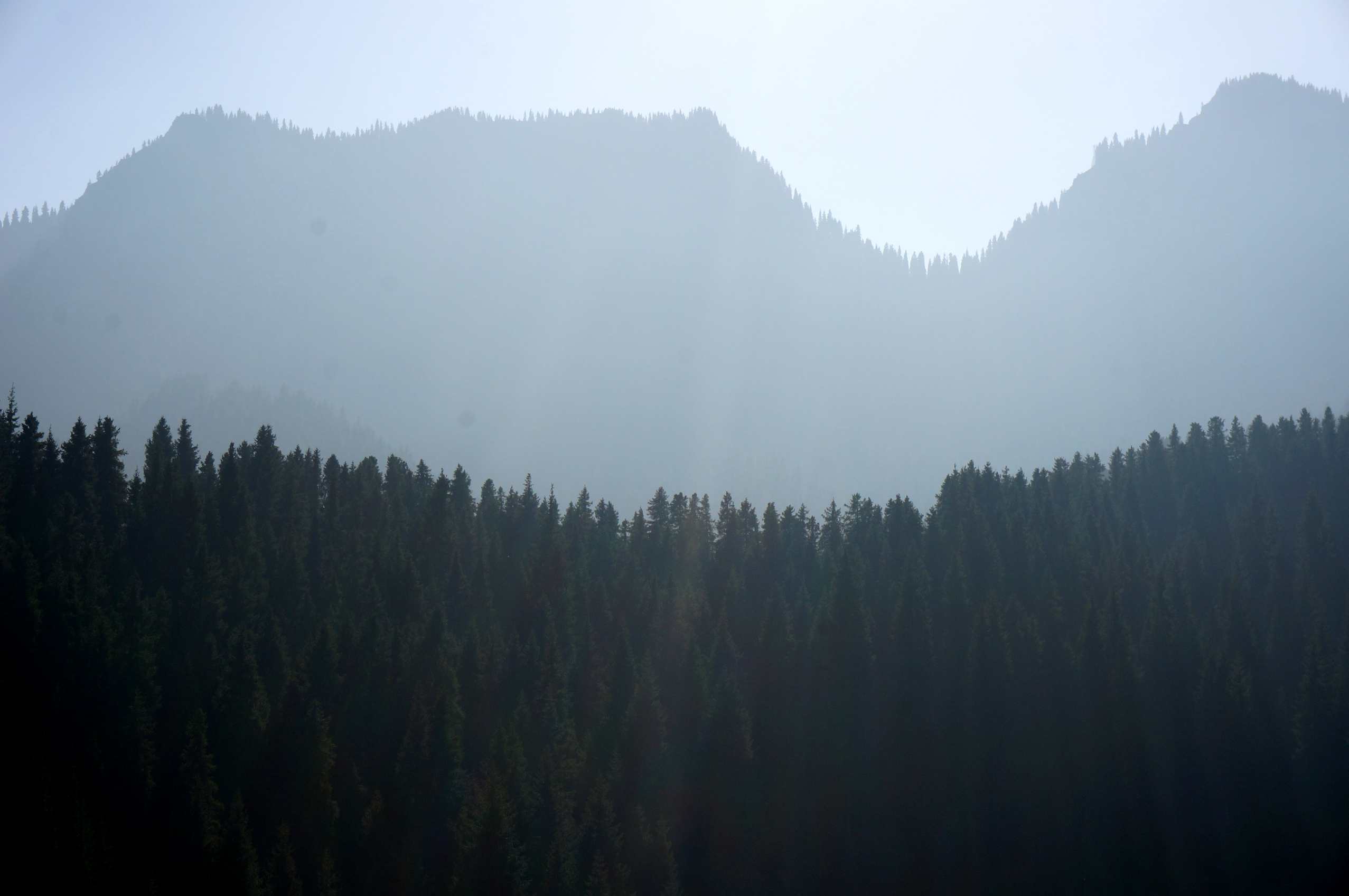 DSC01237_.jpg