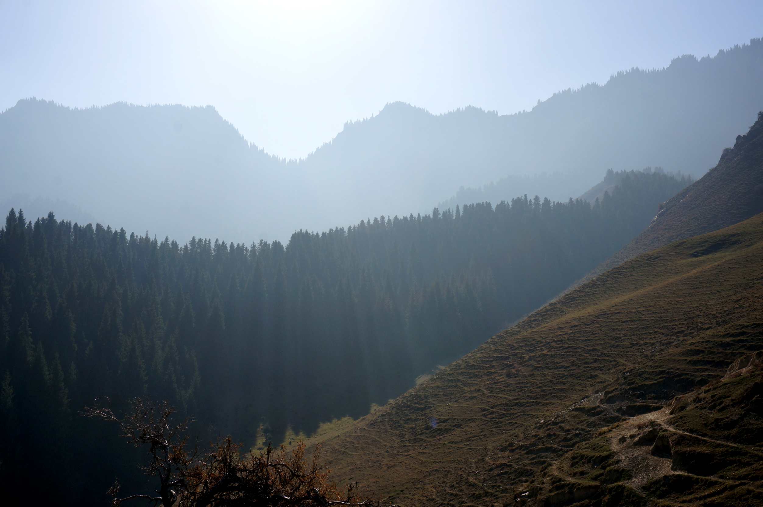 DSC01239_.jpg