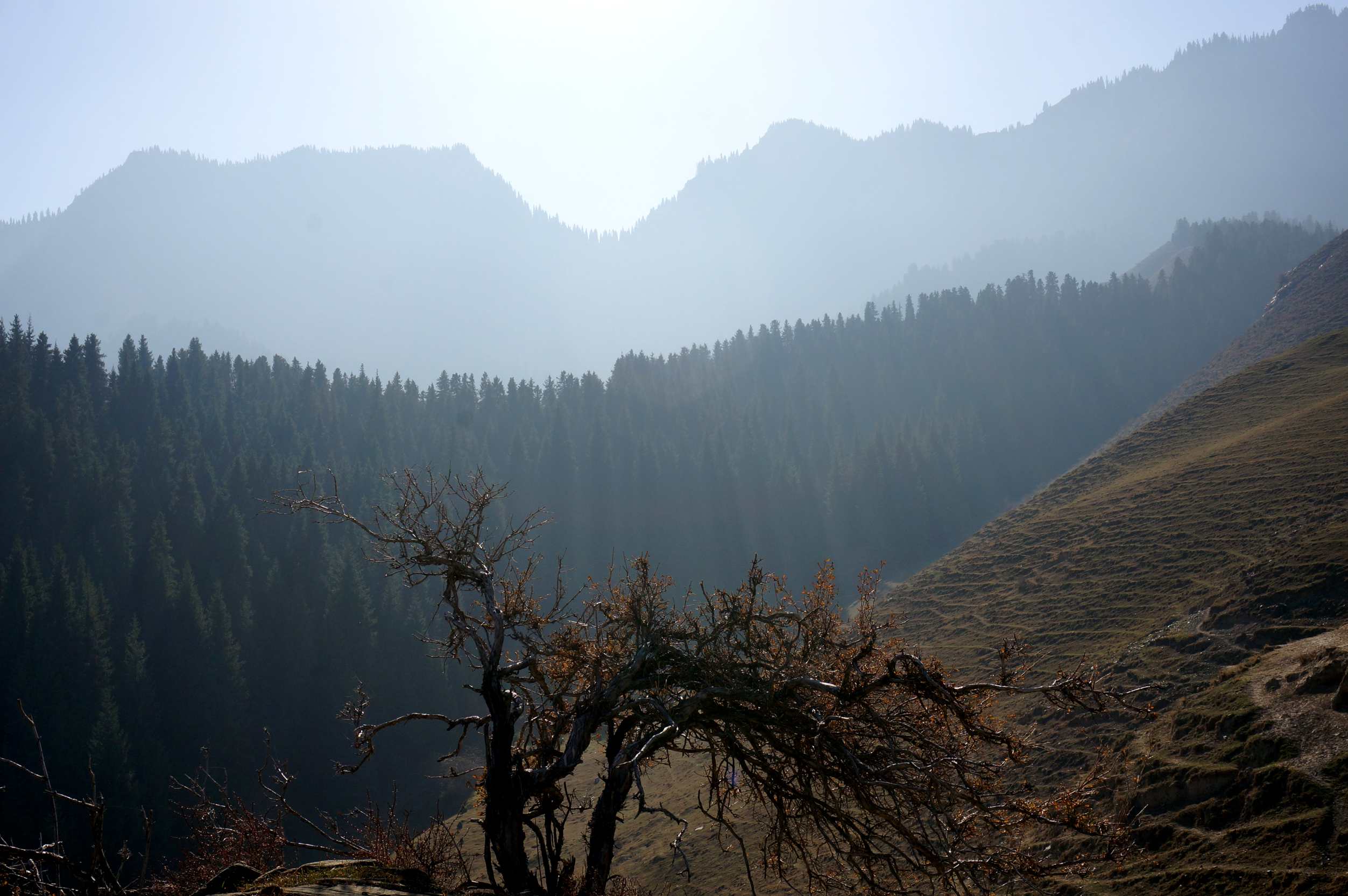 DSC01241_.jpg