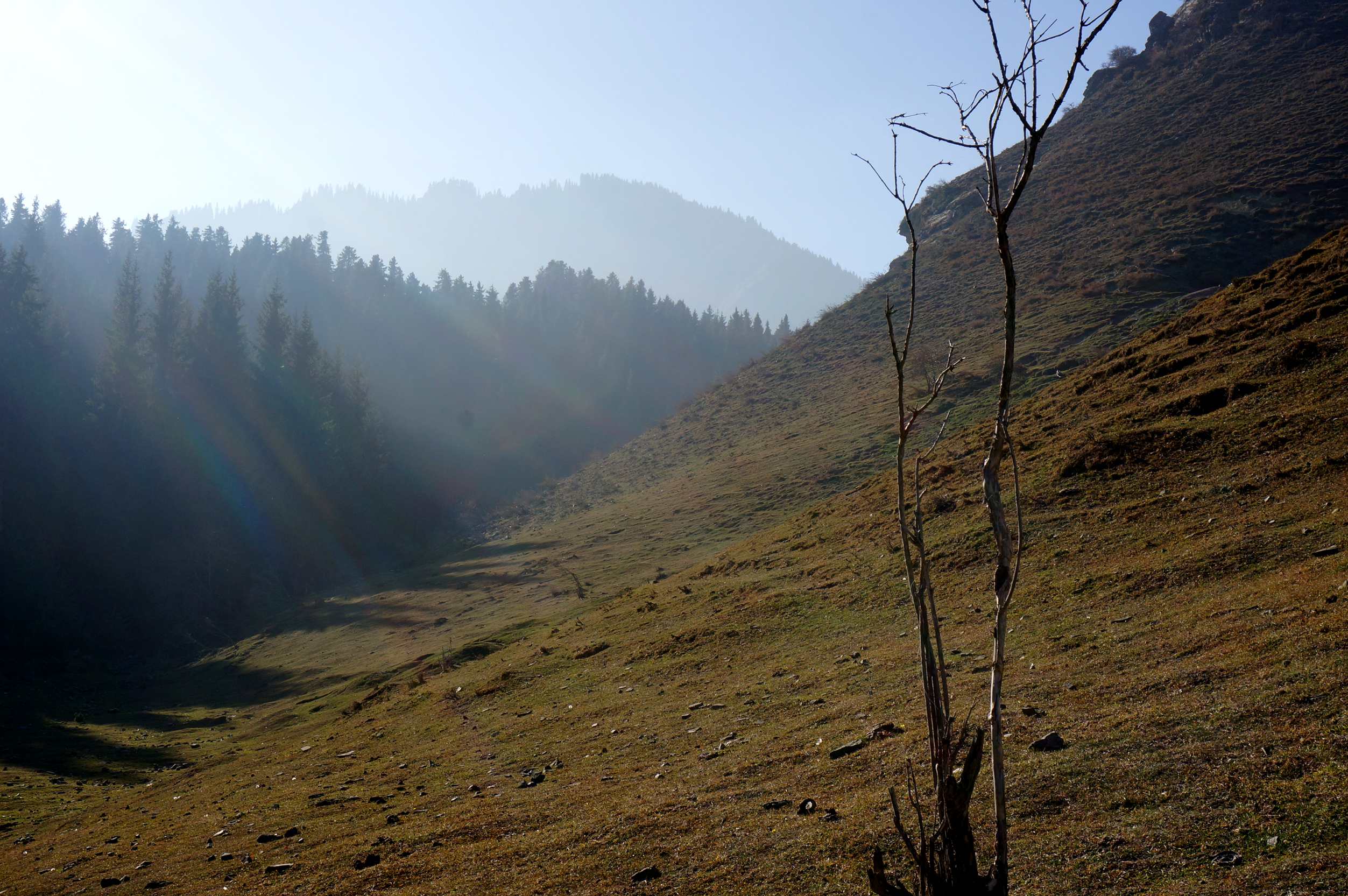 DSC01249_.jpg