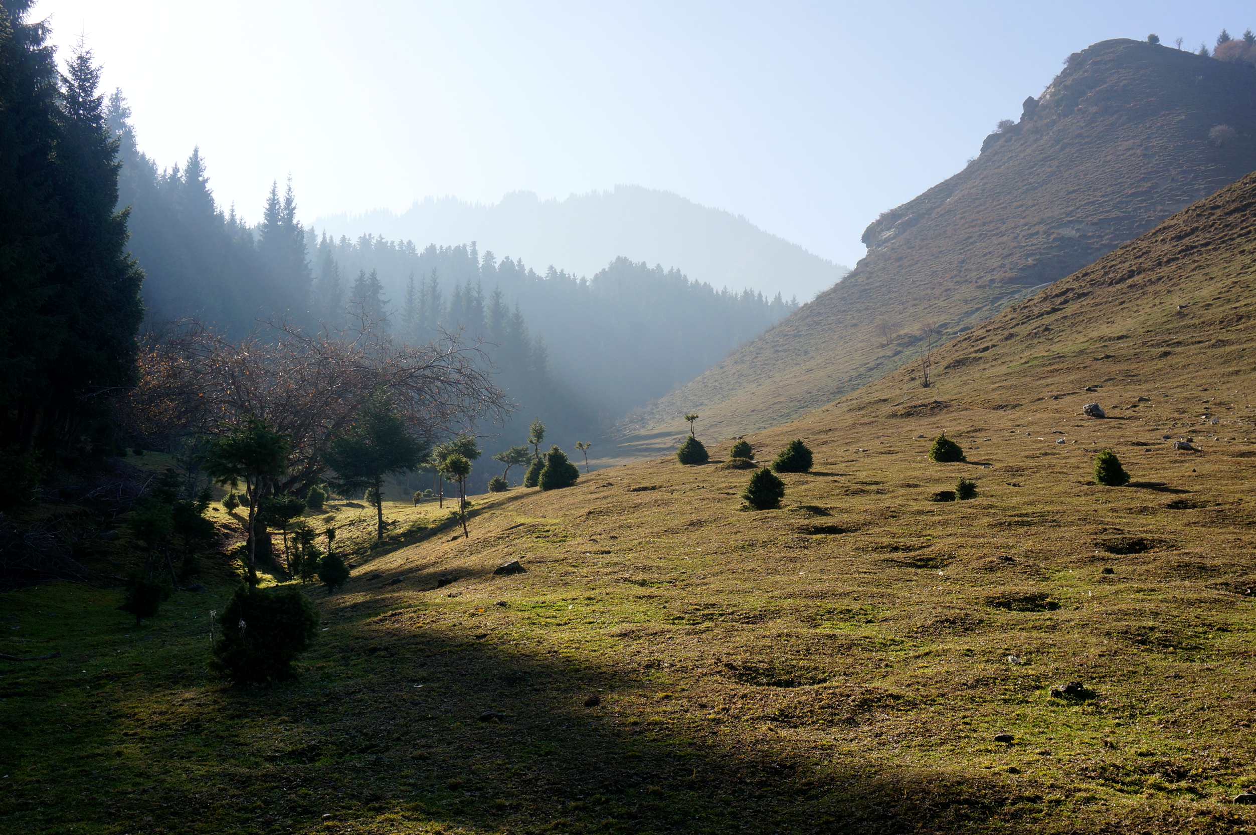 DSC01256_.jpg