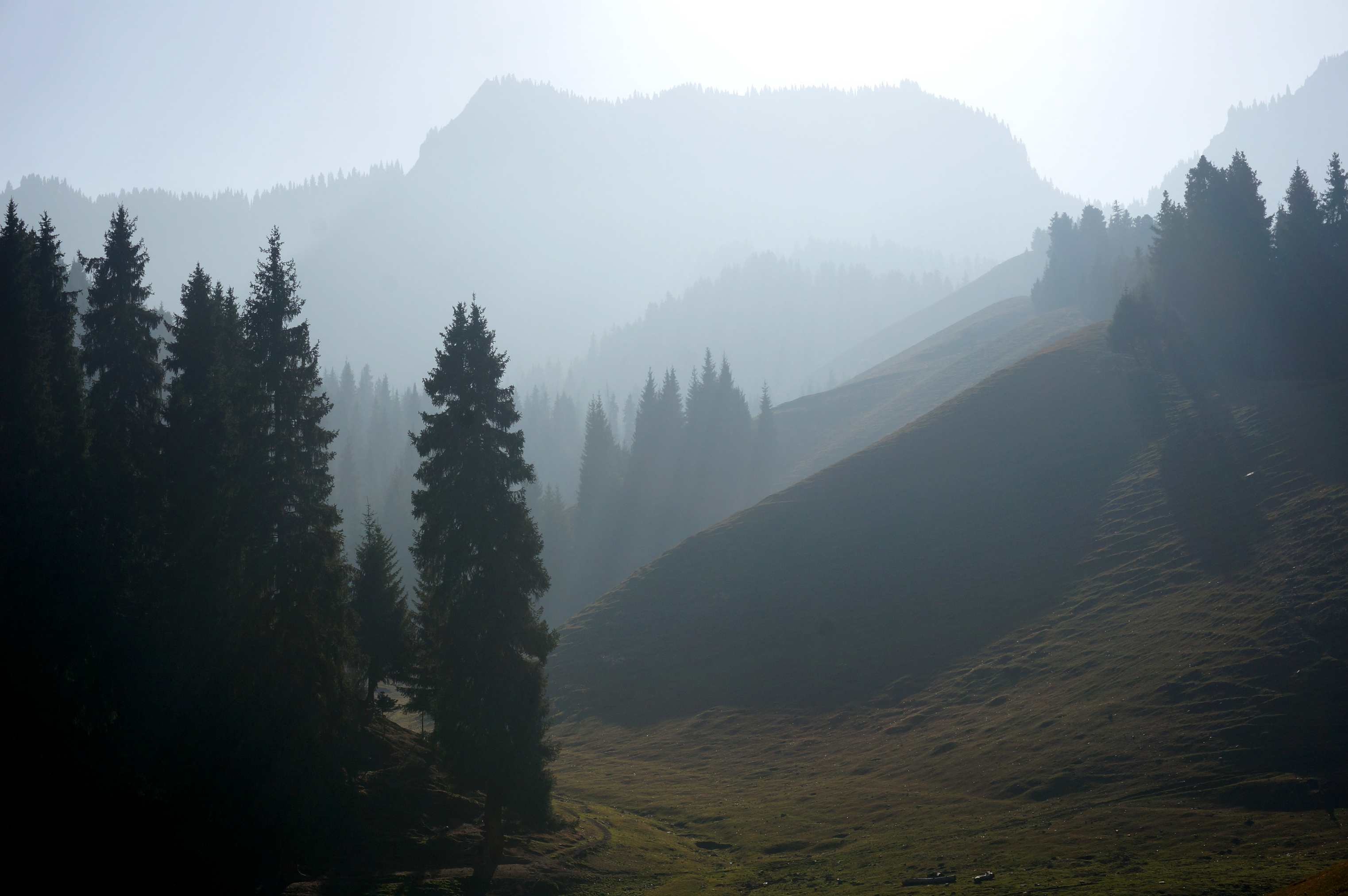 DSC01275_.jpg