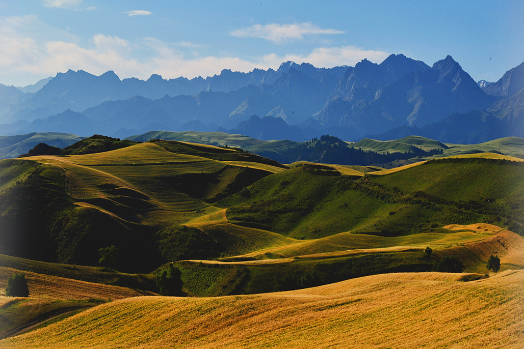 DSC_7260-1.jpg