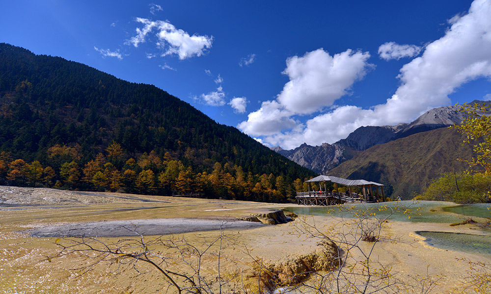 DSC_9250.JPG