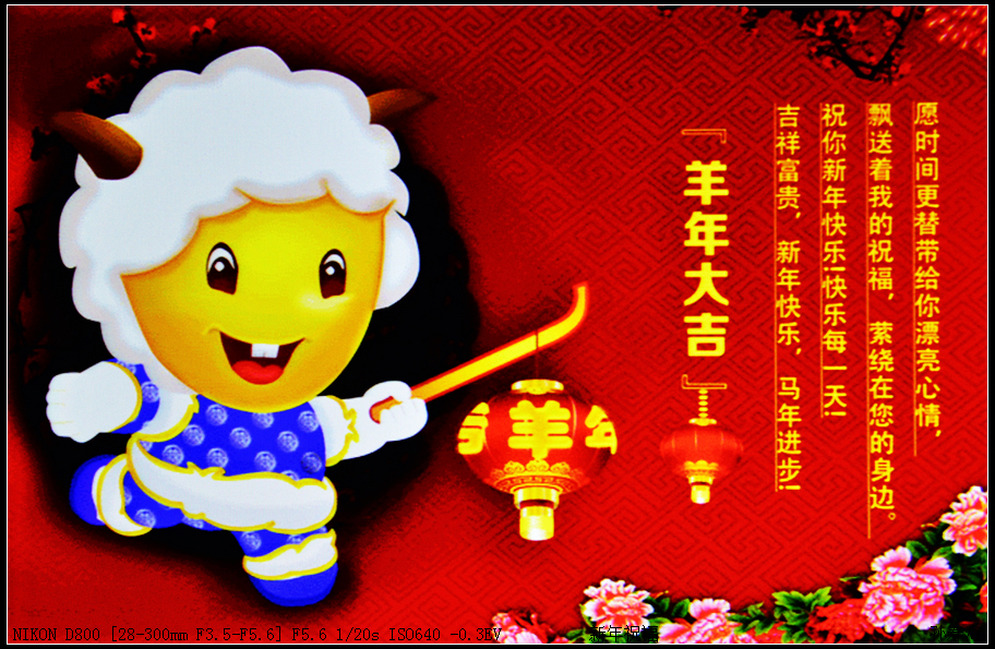 nEO_IMG_nEO_IMG__DSC0434.jpg