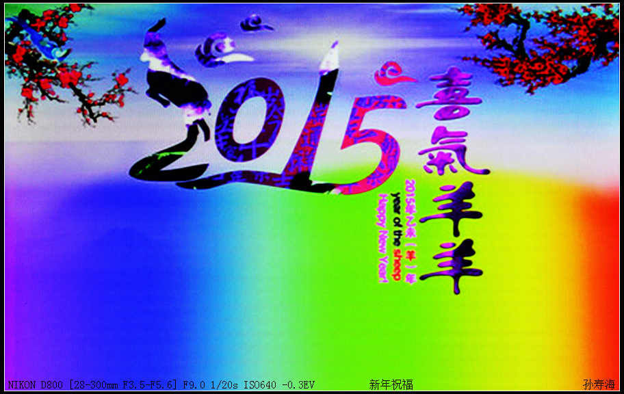 nEO_IMG_nEO_IMG__DSC0438.jpg