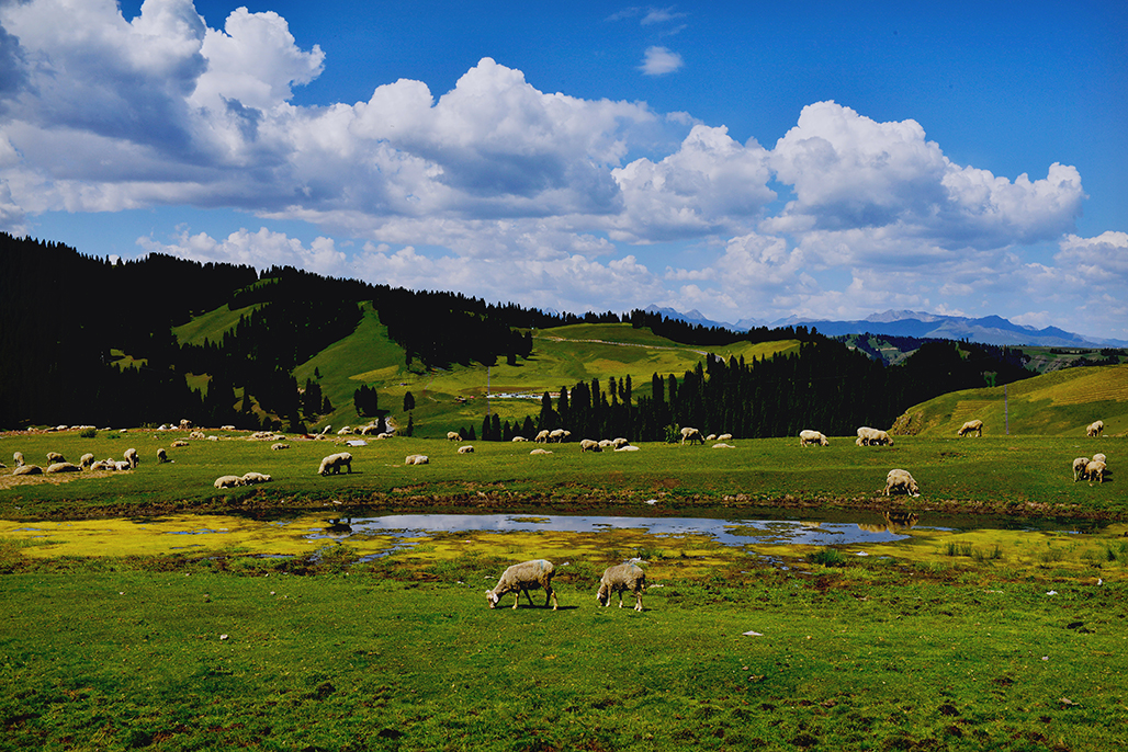 DSC_7304-1.jpg
