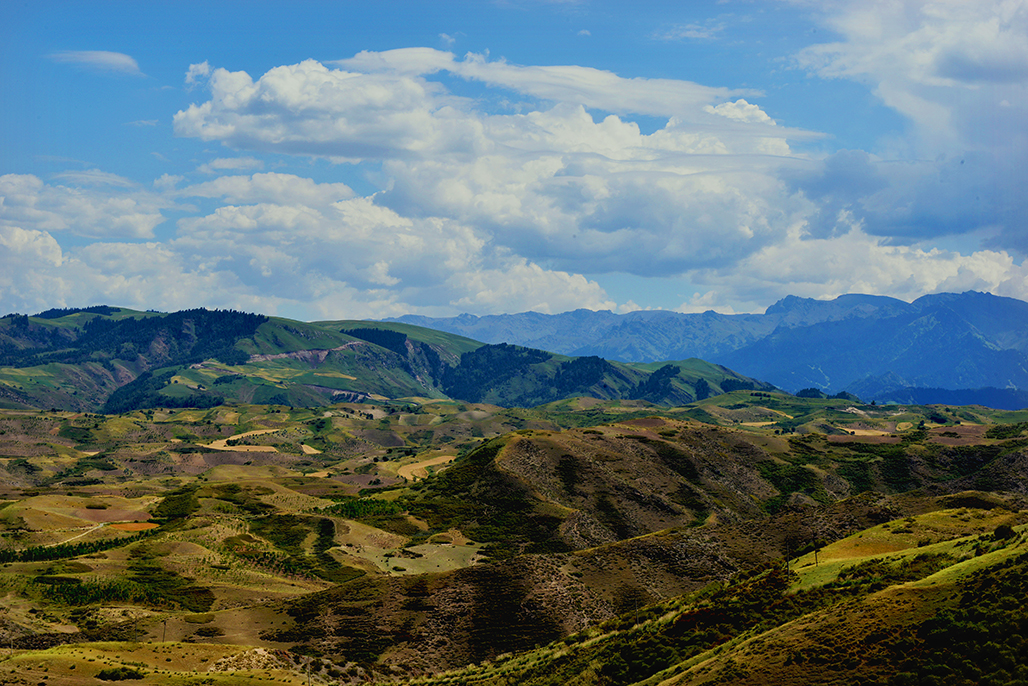DSC_7337-1.jpg