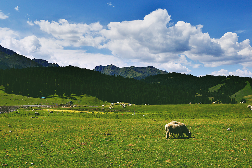 DSC_7299-1.jpg