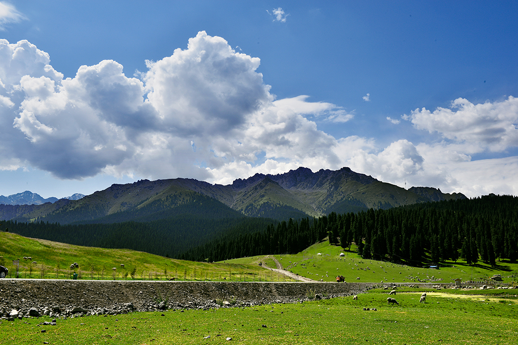 DSC_7300-1.jpg
