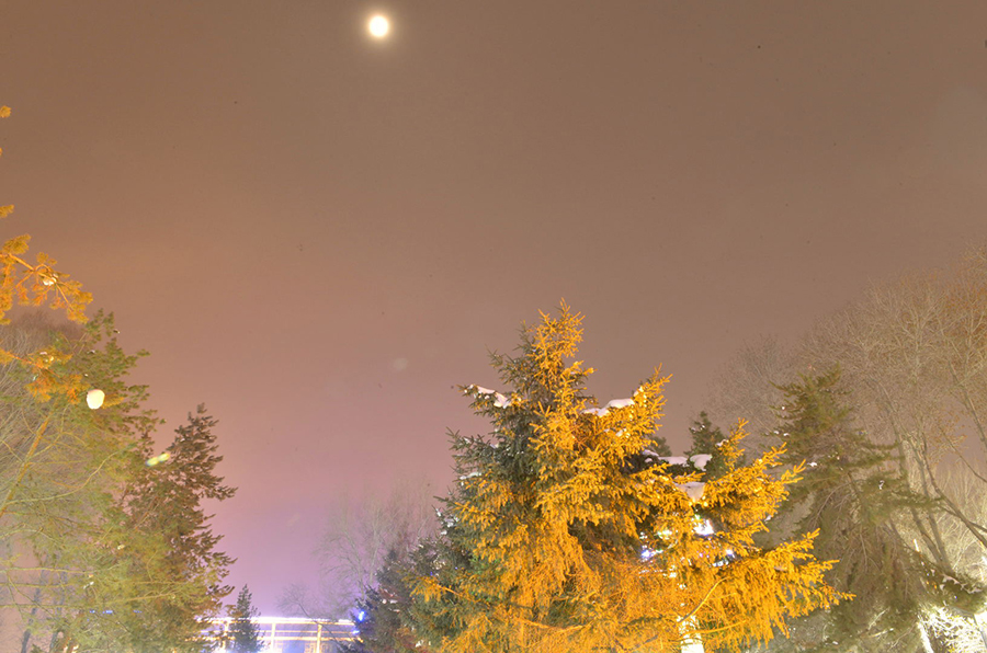 _DSC0132.jpg