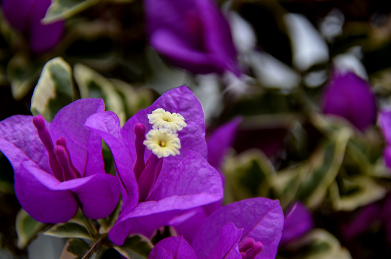 20141213̨ a7411.jpg