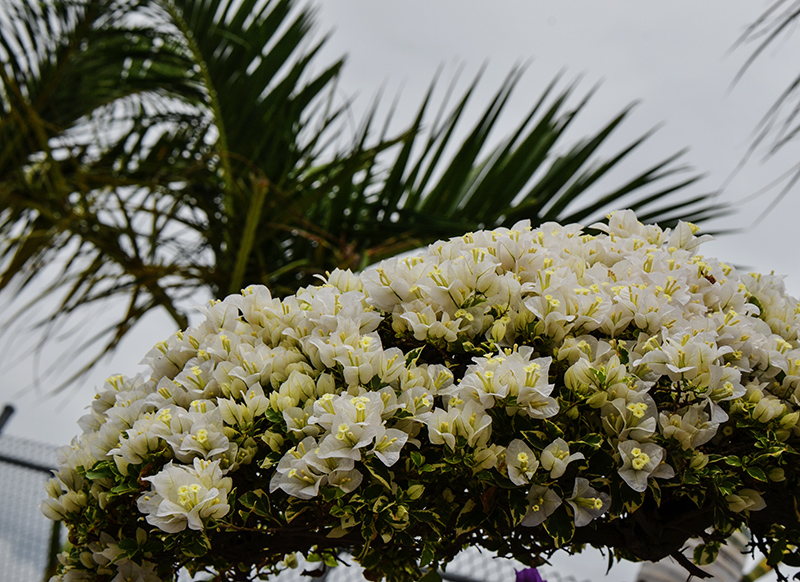 20141213̨a 7391.jpg