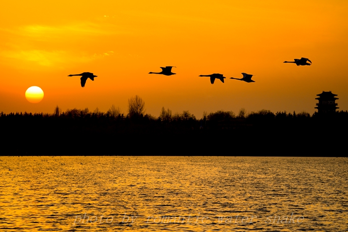 DSC_4329-1.jpg