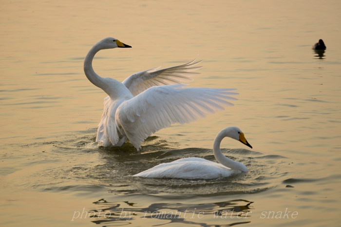 DSC_5001.jpg