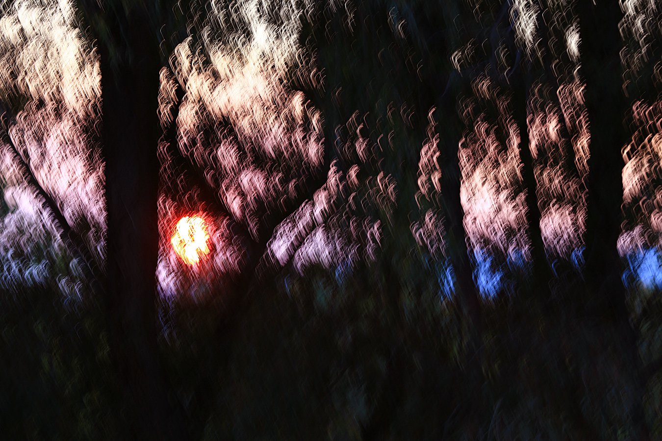 479A0092q.jpg