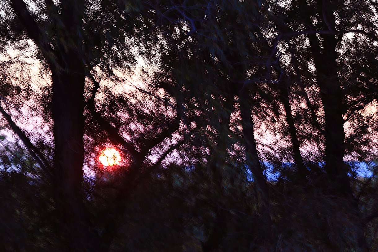 479A0095q.jpg
