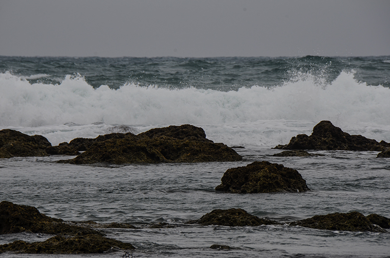 20141213̨ a7461.jpg
