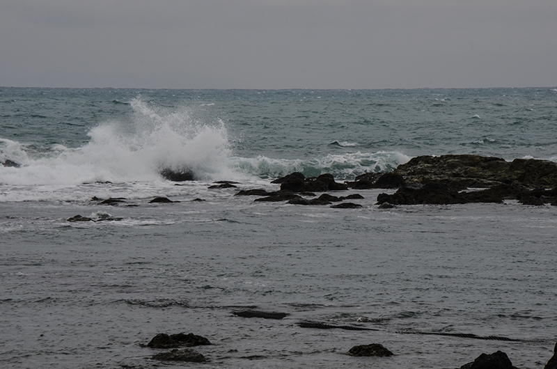 20141213̨ a8131.jpg