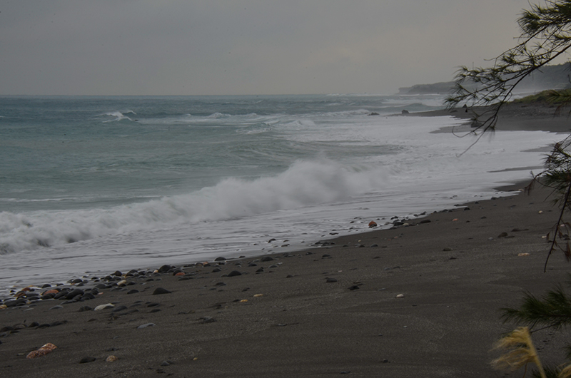 20141213̨ a8411.jpg