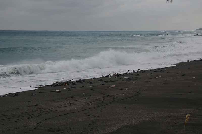 20141213̨ a8341.jpg