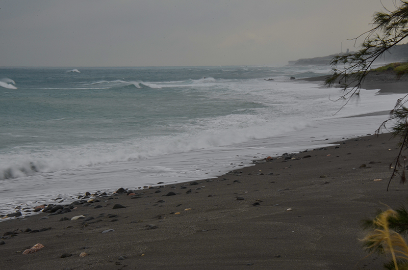 20141213̨ a8421.jpg