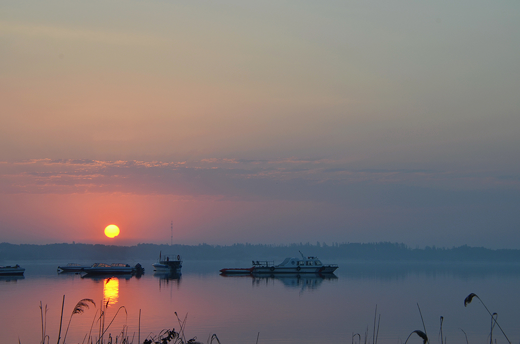DSC_7138.JPG