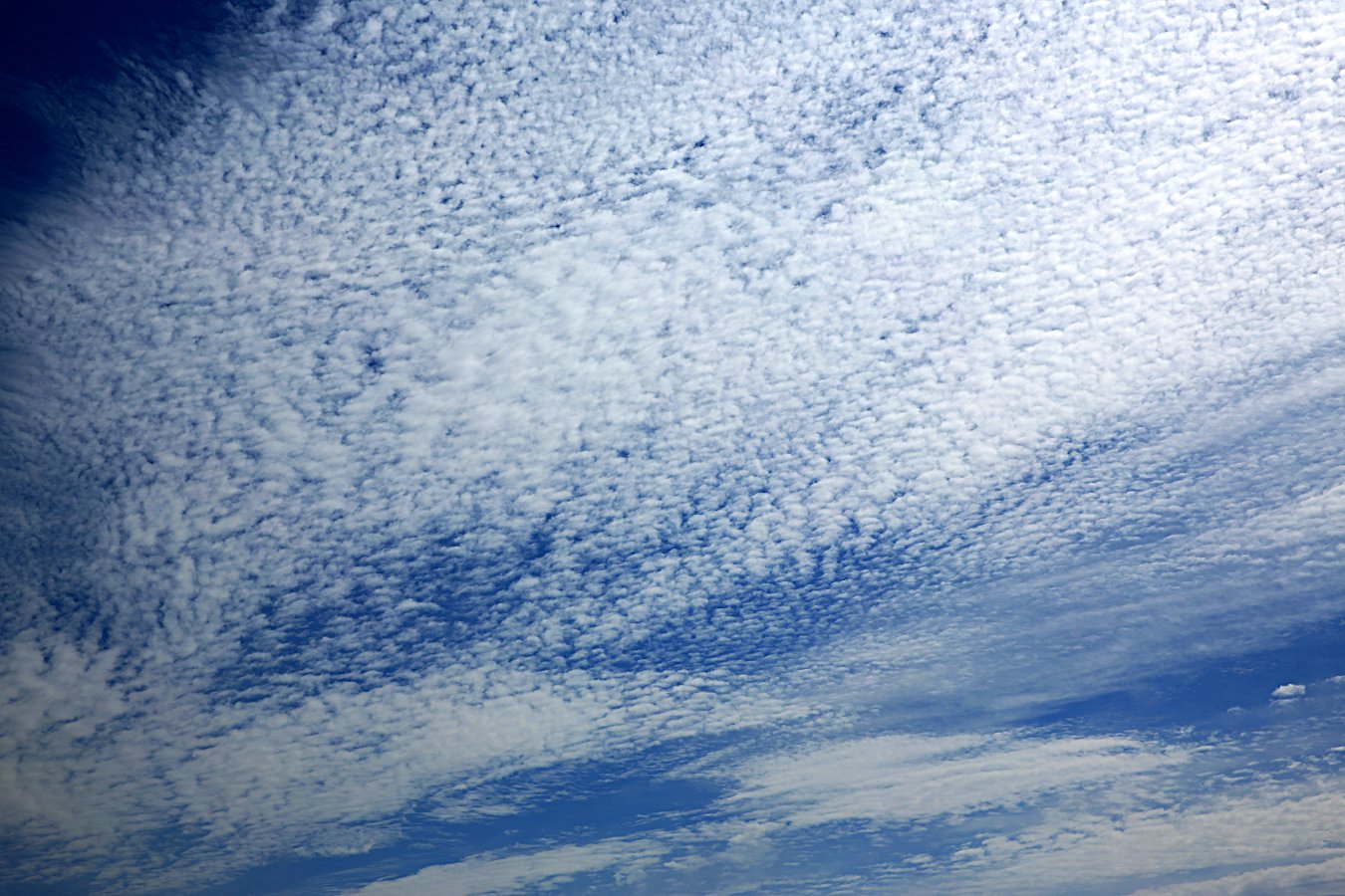 479A3171q.jpg