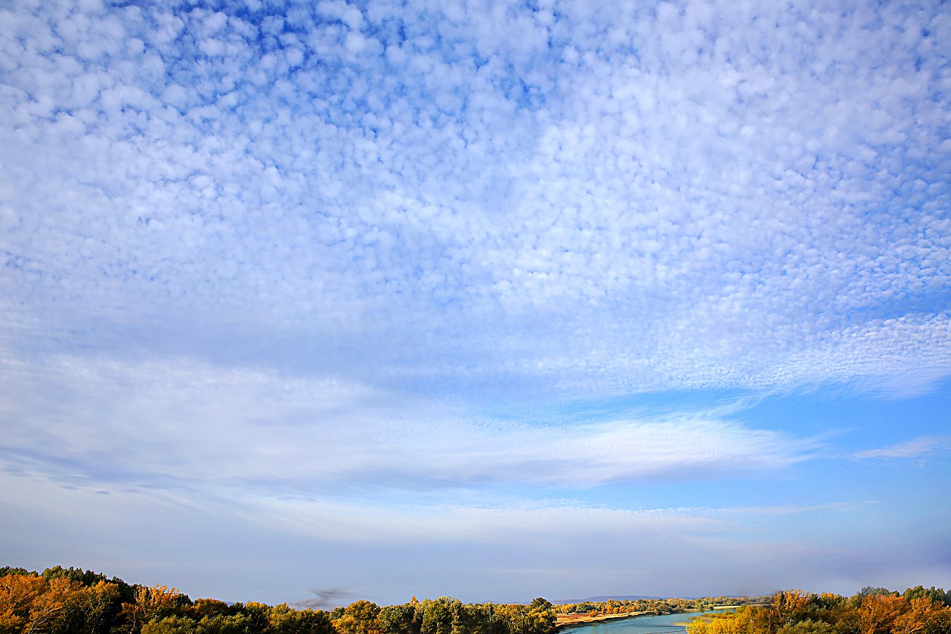 479A2845q.jpg
