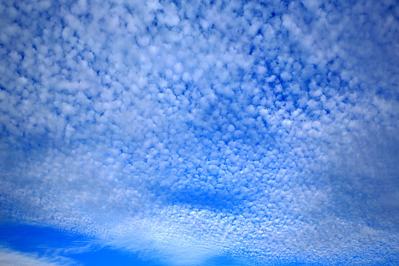 479A2851q.jpg