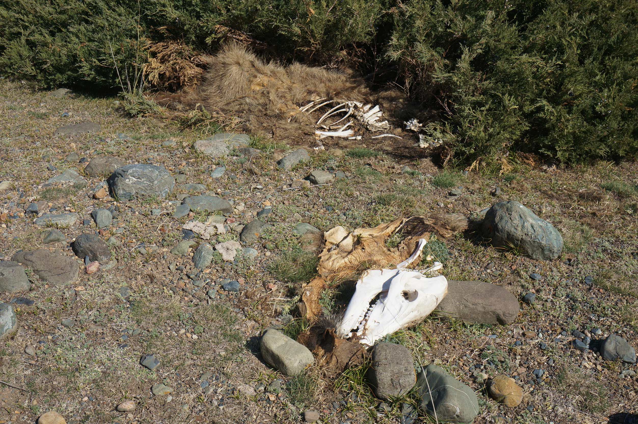 DSC01122_.jpg