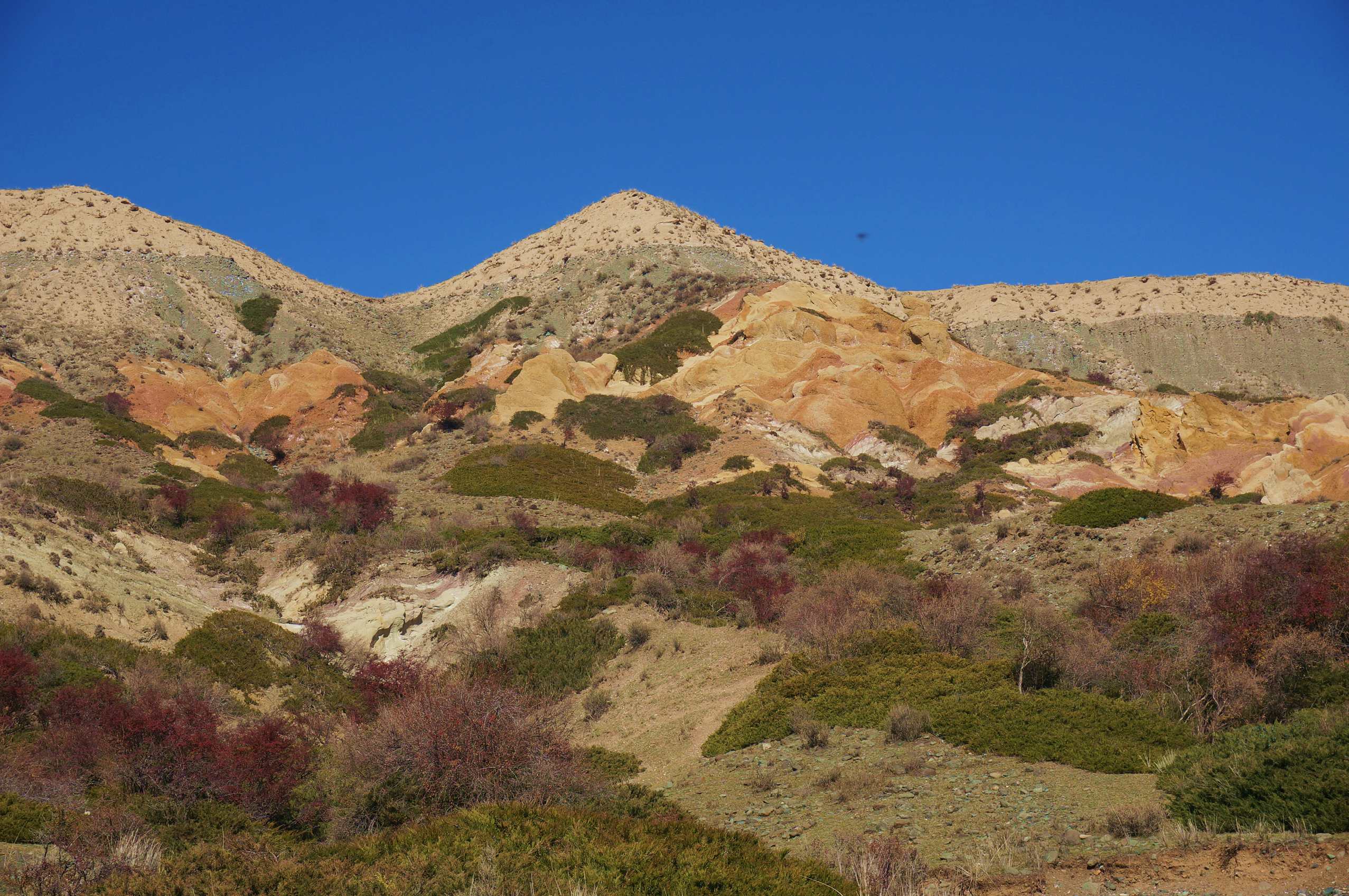 DSC01123_.jpg
